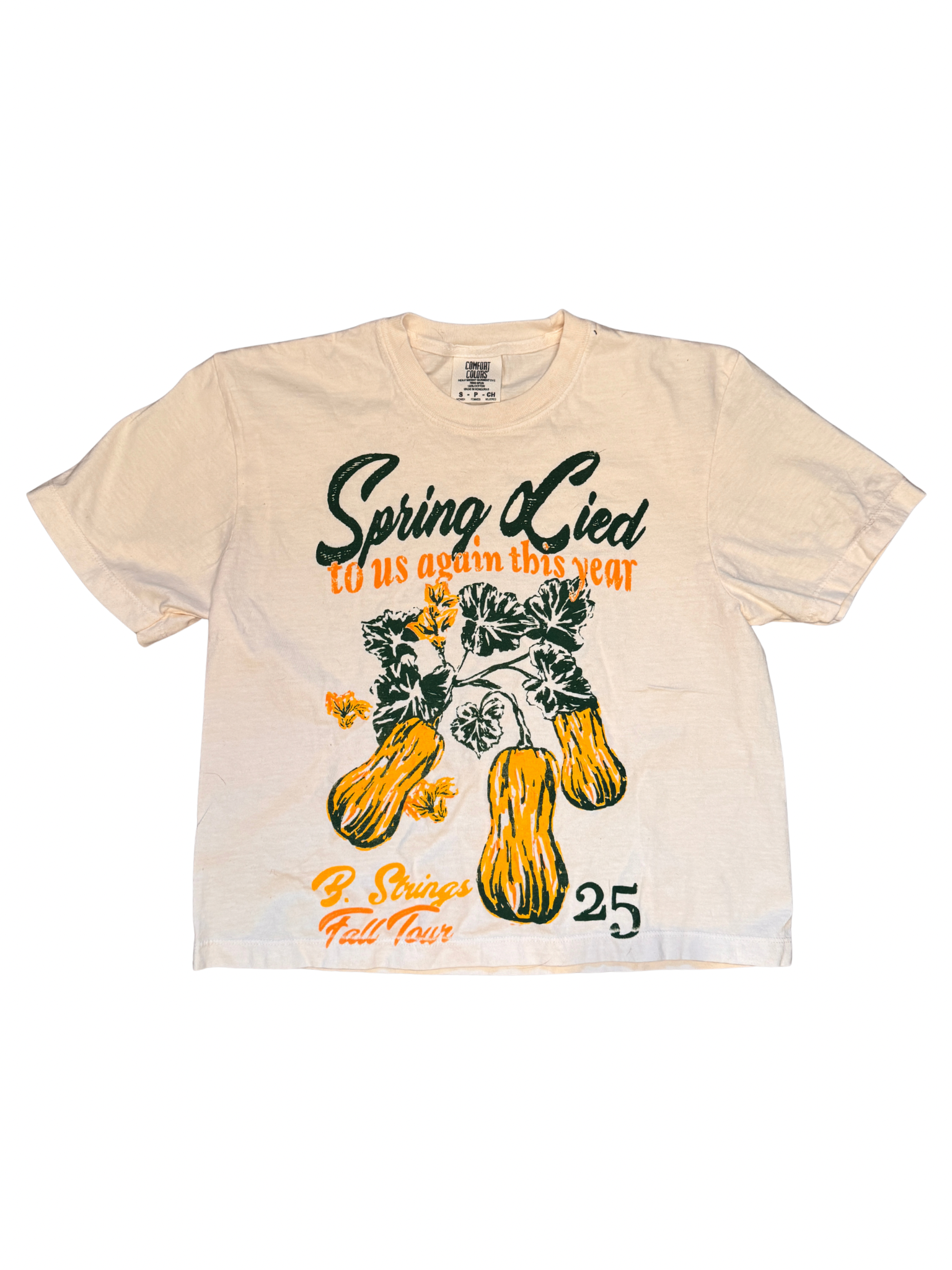 Billy Strings Away from the Mire Fall Tour '25 Cropped T-Shirt
