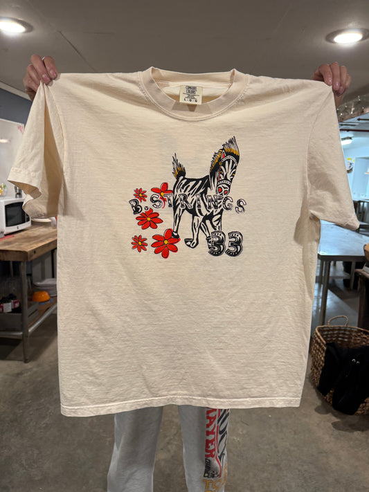 Billy Strings Spring Tour 2026 Tshirt