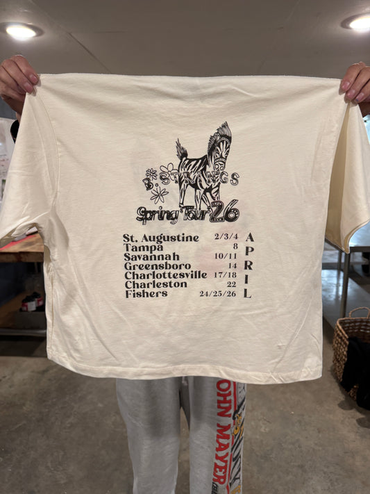 Billy Strings Spring Tour 2026 Cropped T-Shirt