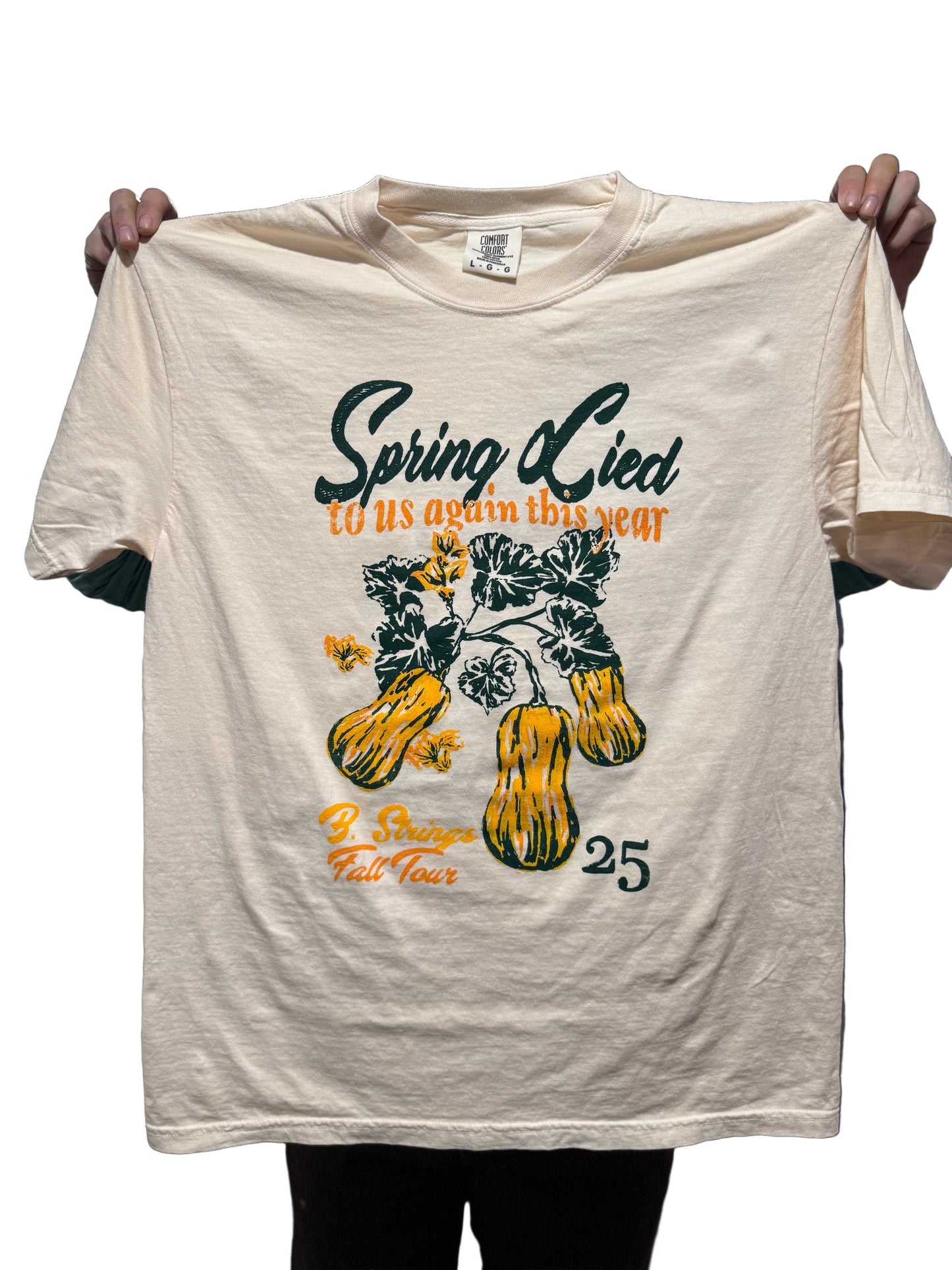 Billy Strings Fall Tour '25 T-Shirt