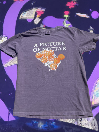 Picture of Nectar Mens T-Shirt