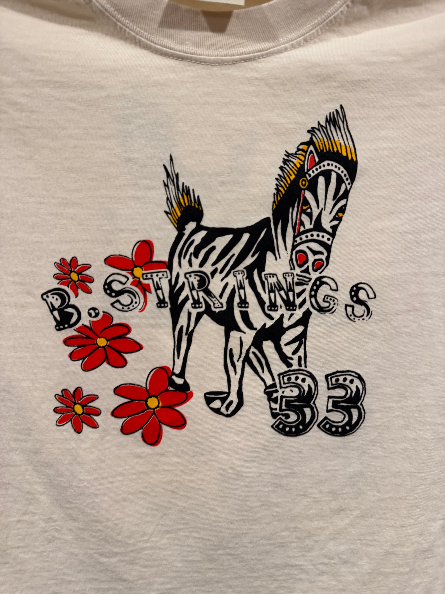 Billy Strings Spring Tour 2026 Tshirt