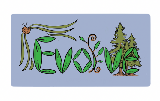 Evolve Sticker