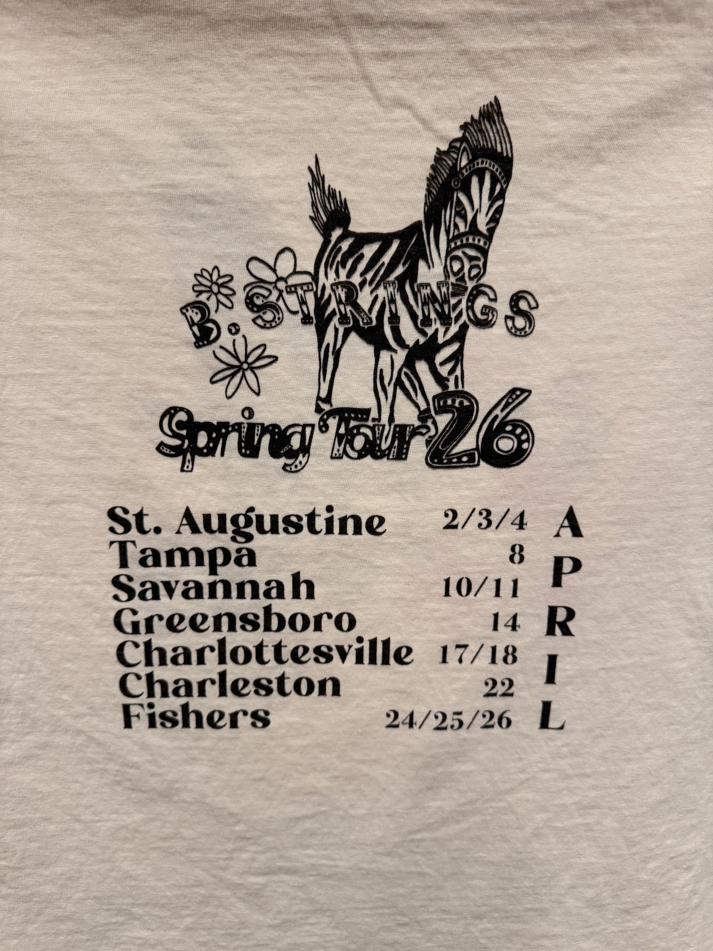 Billy Strings Spring Tour 2026 Tshirt