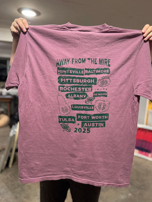 Billy Strings Fall Tour '25 T-Shirt