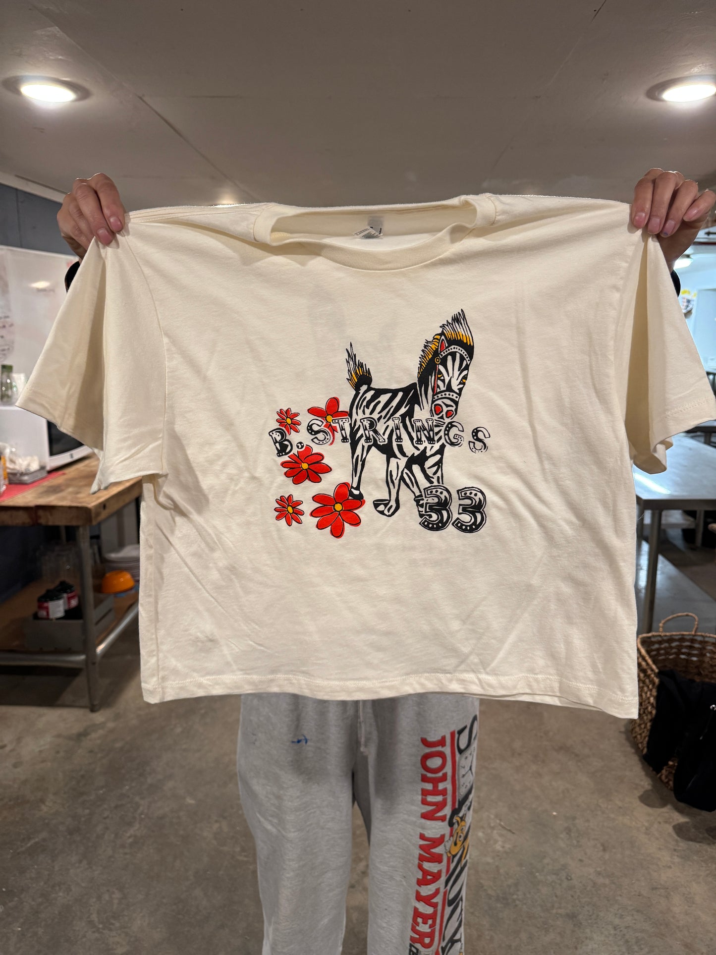 Billy Strings Spring Tour 2026 Cropped T-Shirt