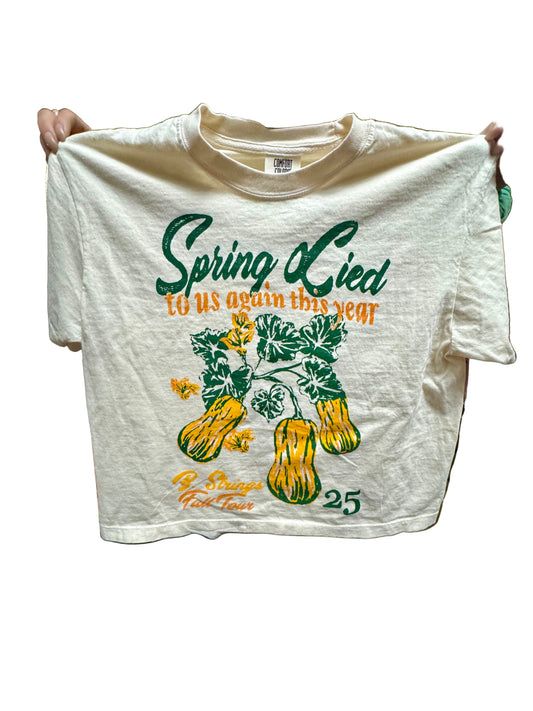 Billy Strings Away from the Mire Fall Tour '25 Cropped T-Shirt