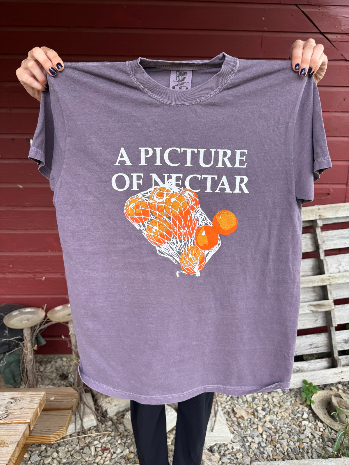 Picture of Nectar Mens T-Shirt