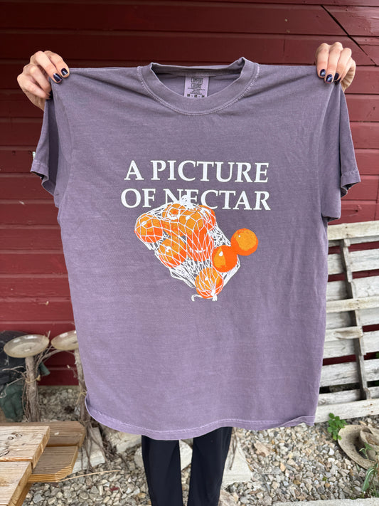 Picture of Nectar Mens T-Shirt